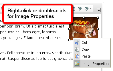 Right-click or double-click to change Image Properties