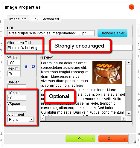 Setting Alternative Text and optional image properties
